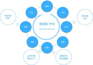 賦能精細化運營 快消品企業部署專業費用管理系統的戰略價值與信息咨詢服務